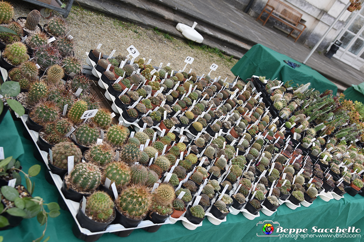 VBS_3567 - Floreal 2023 - Vivere con le piante.jpg